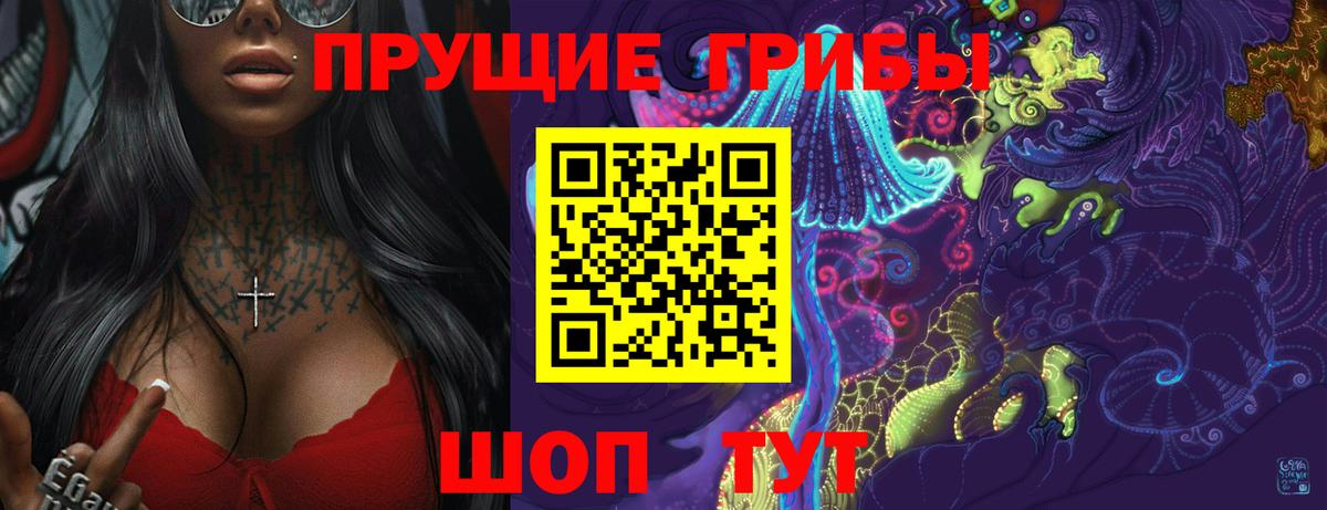 Псилоцибиновые грибы Psilocybine cubensis Тимашёвск