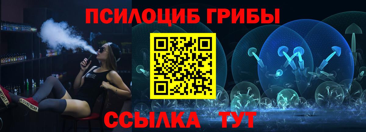Тимашёвск  Псилоцибиновые грибы прущие грибы  Вход с VPN 